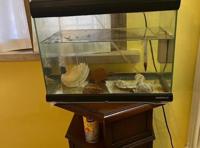 Cozy House Giulia, Wi - Fi , Parking